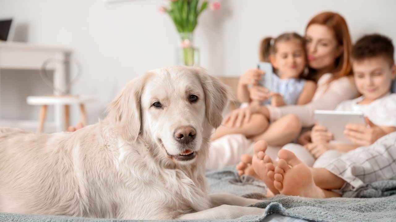 What Wild Animals Can Teach Us About Cancer